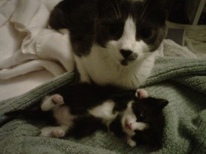 Tiny Tim with his mom